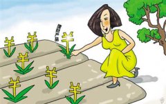 股票技术分析：跌停买入法